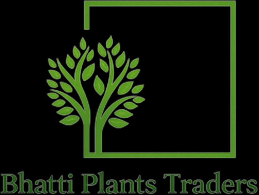 Bhatti Plants Traders
