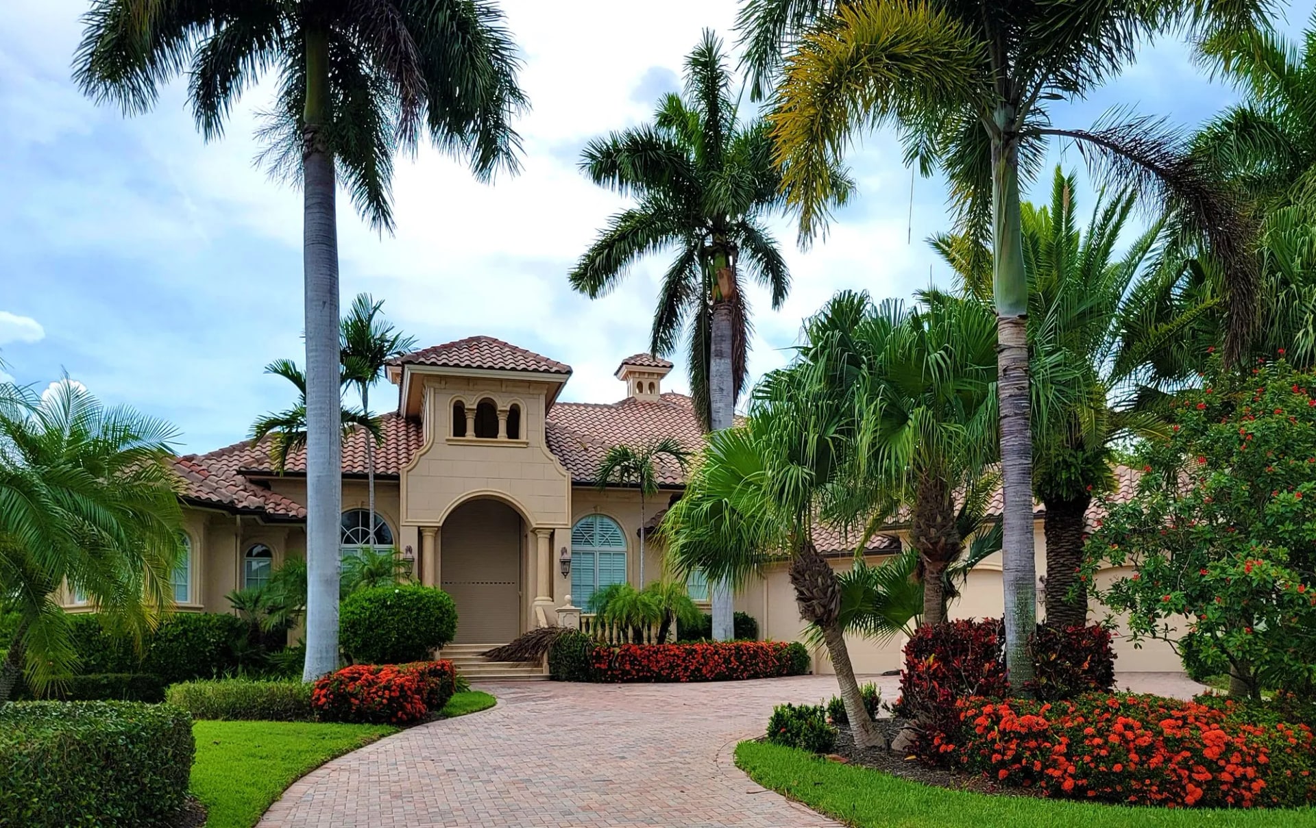 Palms lining the driveway of a landscaped house